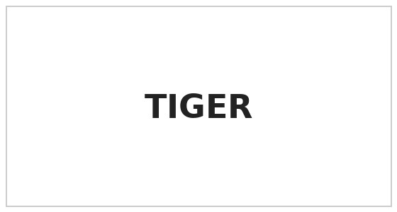 Tiger Demolition & Excavation